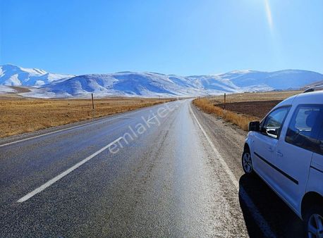 32 Dönüm Yola Sıfır Çiftlik İçin Çok Güzel