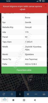 Gemlak Tan Toog Otomobil Fab Yanı 1500 M Hisseli Tapulu Zeytinli