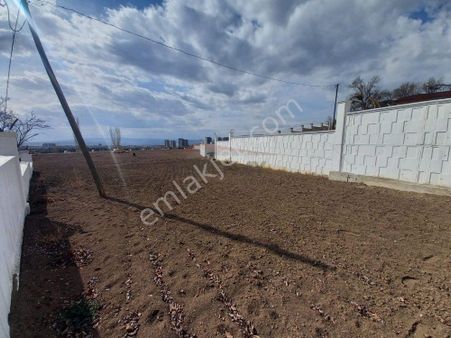 Güvenay - Çorum Ilıca Bağlarında 2 Dönüm Satılık Arsa
