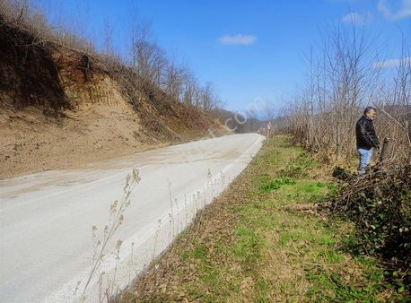 Samsun Salipazari Yenidogqn Da Ana Yola Cephe Satilik Findiklik