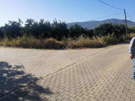 Muğla Köyceğiz Döğüşbelen Mh 6682 M2 İmarlı Narenciye Bahcesi