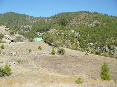 Denizli Acıpayam Yolçatı Mh 1728m2 Tarla