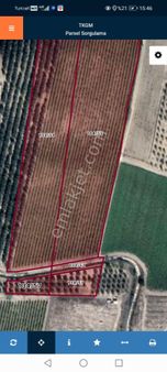 Uras Gayrimenkul Den Satılık Bağ Ve Zeytinlik