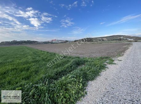 Menemen Maltepe Yeni Sanayi Bölgesi Yakını Satılık Tarla