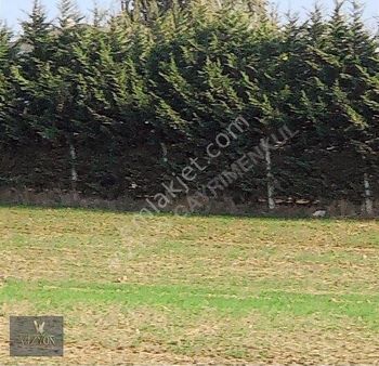 İstanbul Büyükçekmece Karaağaç Satılık Villa Arsası