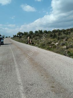 Kale Emlaktan Yenişakran Seklik Köyünde Satılık Tarla