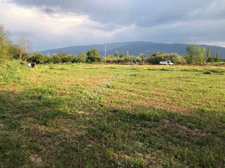 Demir Emlaktan Yalinkuyu Mh (5000 M2) Satılık Arsa