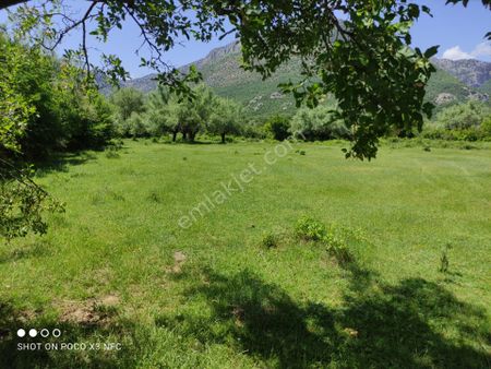 Özpınar ,dan Stat Mah.(marangozlar Dibi)satılık Sulu Tarla 2117 M2 Meraya Çatar