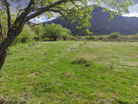 Konya Seydişehir Stat Mah.(marangozlar Dibi)satılık Sulu Tarla 2117 M2 Meraya Çatar