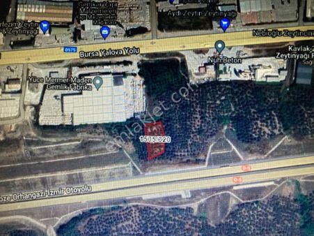 Sanayinin Yanında Yatırımlık Zeytinlik