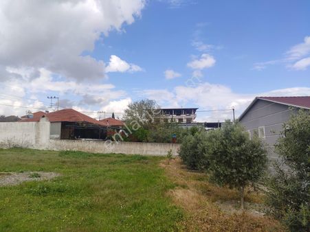 Koyuncu Group Tan Menderes Tekeli Müstakil İmarlı Arsa