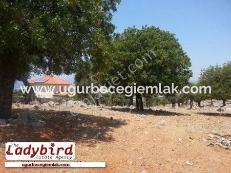 Dalaman İncebel Mevkisinde Satılık 452 M2 Arsa