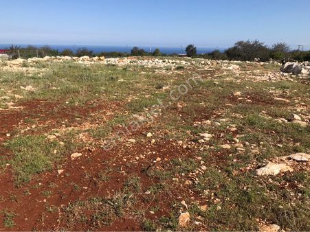 Narlıkuyu-hasanaliler De Satılık Tarla