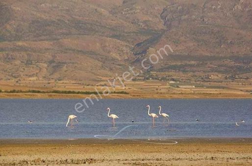Telefon Parasına Arazı Burdur Karamanlı Mursellerde