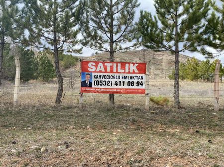 Kahvecioğlu Emlak'dan Çayboyu Mah Dörteylül Köyü Satılık Tarla