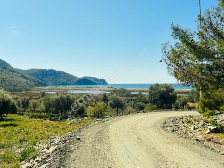 Paşa Emlak'tan Dalaman'da Satılık Deniz Manzaralı Tarla