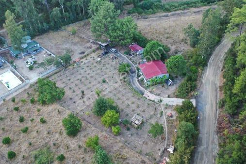 Muğla Marmaris Çamlı Köyünde 2.228m2 Satılık Tarla+ev