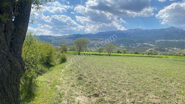 Asya Evim Gayrimenkulden Kibrit Köyünda Satılık Arazi