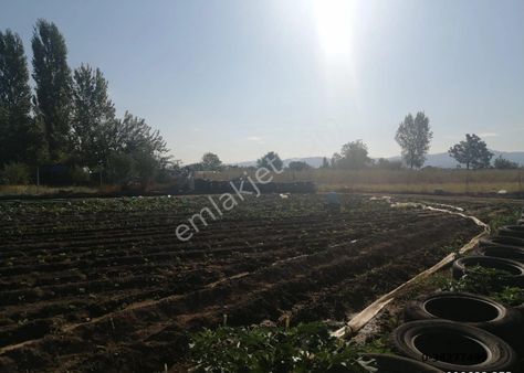 Akçay Buse Emlaktan Satılık 5 Dönümlük Tarlamız Satışa Sunulmuştur.