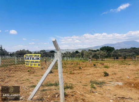 Emir Yapı’dan Torbalı Dirmilde Muazzam Zeytinlik
