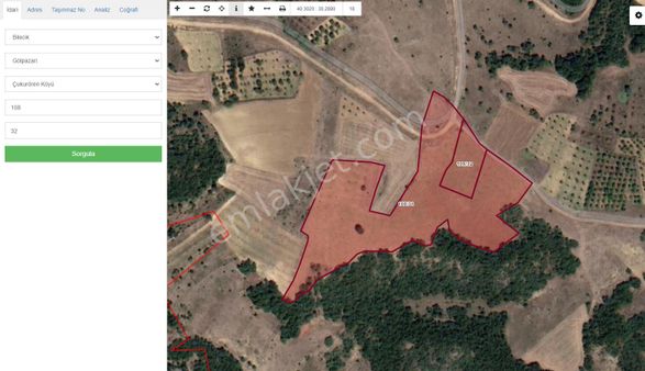 Gölpazarı Çukurören Köyünde 18400 M2 Cevizlik