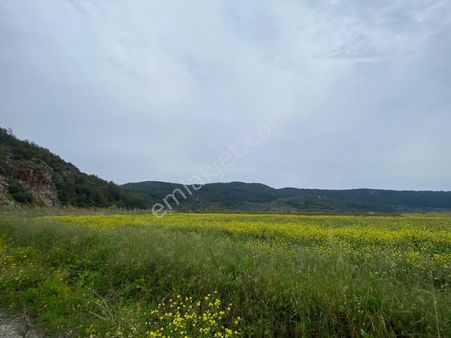Ortaca Güzelyurt Akdoğan'da 5845 M2 Satılık Tarla
