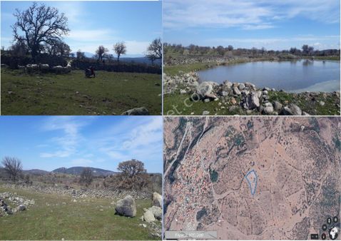 Çanakkale/ayvacık/tamış Köyü