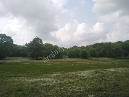 Sahibinden Bursa Orhaneli Gaziolukta 9.124 M2 Tektapu Köye Yakın