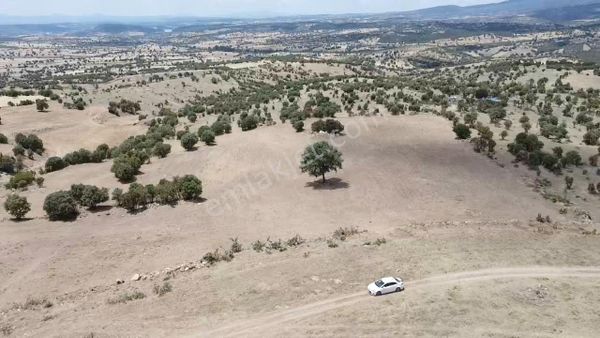 Sahibinden Kütahya Gediz Üzümlü 30.699 Metre Tek Tapu Arazi