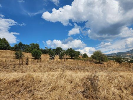Sahibinden Kütahya Simav Ortacı 9.044 Metre Tek Tapu Arazi