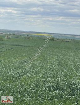 Saray Kurtdere 12dönüm Satılık