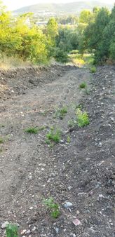 Yetiş Emlaktan Lalaşahinde Parçalı Bitişik 30 Dönüm Tarla,imar Sınırında