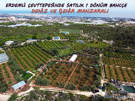Satılık Deniz Manzaralı 1 Dönüm Hobi Bahçesi
