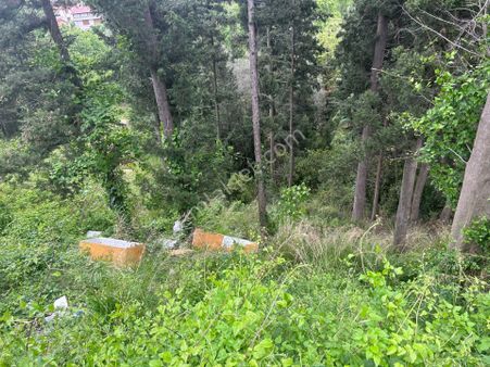 Uzmanlar'dan Kocaeli Karamürsel 4 Temmuz'da 3,5 Kat %25 İmarlı Satılık Arsa