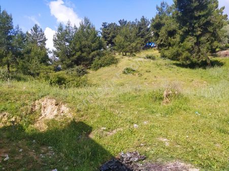 Fevzipaşa Mah.sökede Satılık İmarlı Arsa