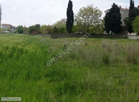 Bayhan Dan Acil Satılık 500 M2 Arsa Hüriryet Mh De B Çekmece