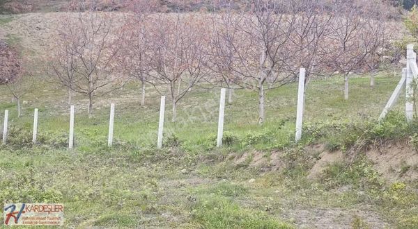 Resmi Yola Cephe Etrafı Çevrili Manzaralı Yatırımlık Arazi