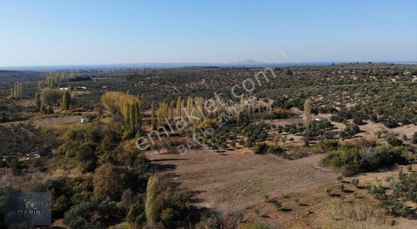 Çanakkale Ezine Geyikli'de Satılık Küçük Hobi Bahçesi