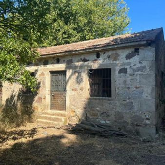 Bodrum Dereköy Uyun 4.700 M2 Narenciye