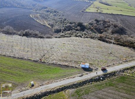 Şahlan Emlaktan Deniz Havası Alan 27dönüm Dümdüz Ceviz Bahçesi