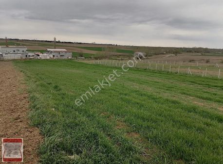 Kırklareli Kavaklı Merkezde İmarlı 347m2 Satılık Arsa
