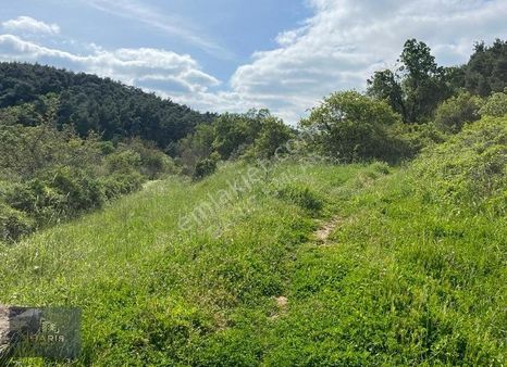 Çanakkale Bayramiç Köylü'de Satılık Hobi Bahçesi