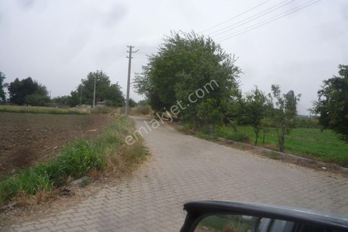 İzmir Torbalı Gold Emlaktan Satılık Kıymetli Tarla