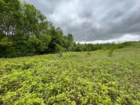 Kandıra Bölgesi Köylerinde Bütçenize Uygun Satılık Bağ, Bahçe, Arsa, Tarla Yerlerimiz Bulunmaktadır