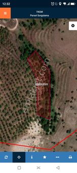 Orman İçinde , Gölbaşı Merkeze 8 Km Yakın Satlik Tarla