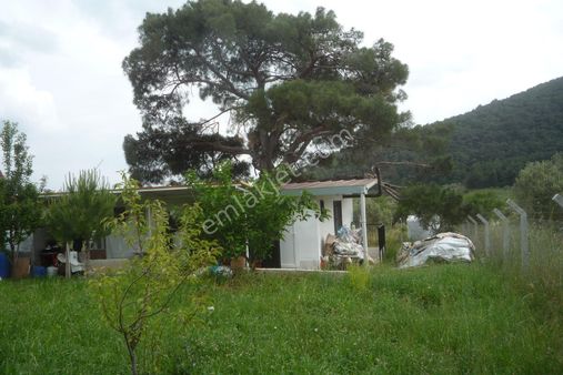 İzmir Torbalı Gold Emlaktan Satılık Harika Bahçeli Ev.