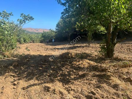 Alay Emlak Ofisinden Erdek Karşıyakada Satılık Tarla