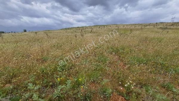 Konya Gevrekli Te Tek Tapu 8500m Tarla