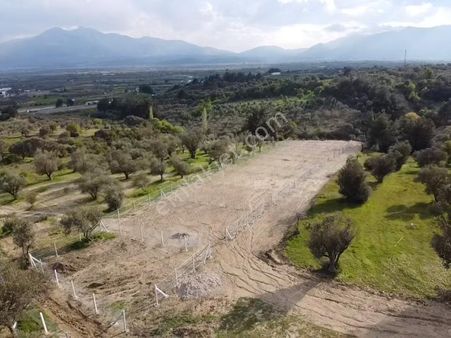 Kemalpaşa Çambel Köyüne Çok Yakın Acil Satılık Bahçe