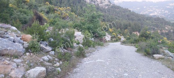 Antalya Gazipaşa Da Fırsat Tarla 10 000 M2 Çiflik Yeri